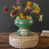 Quirky Frog Planter