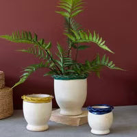 Ruffled Ceramic Flower Pot