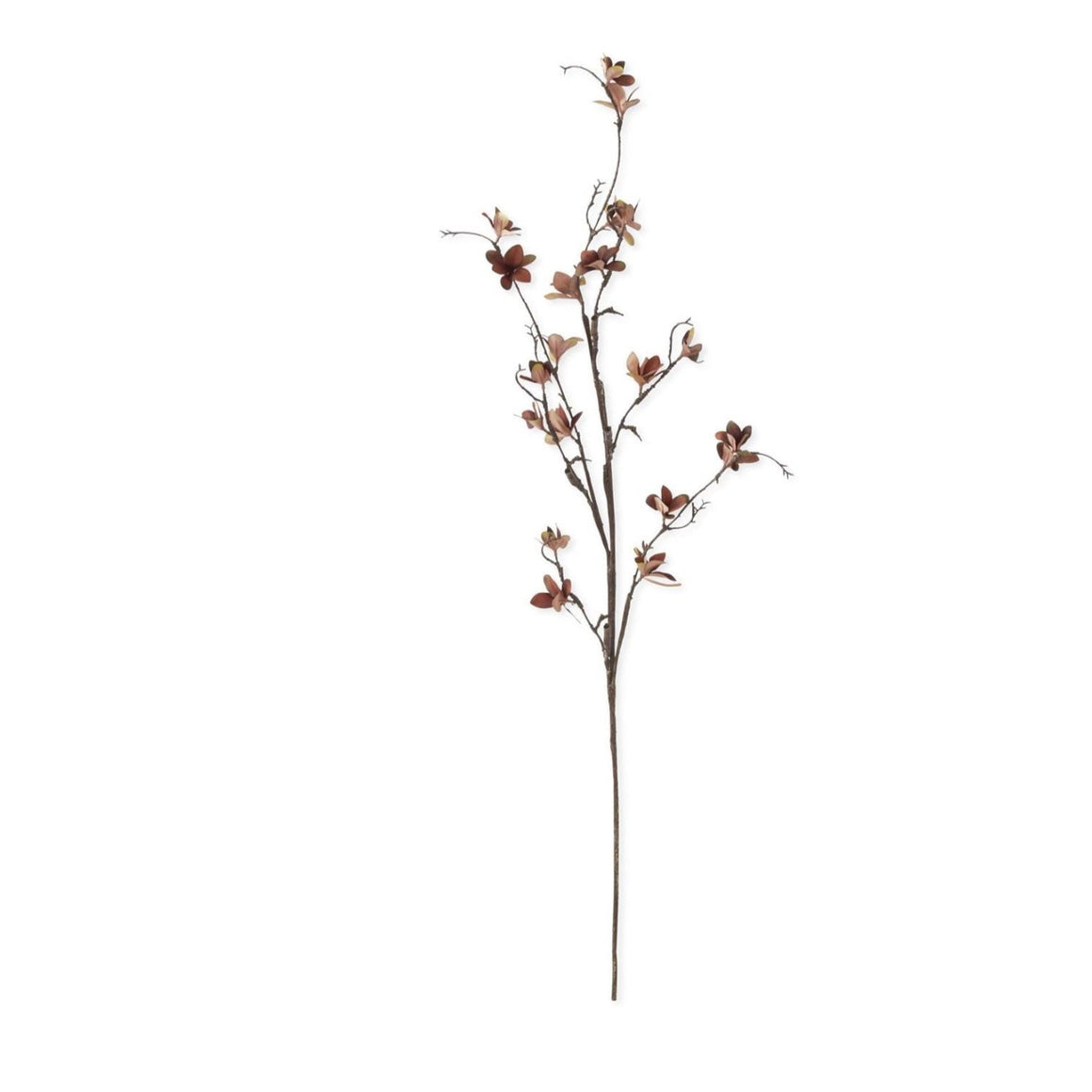 Magnolia Blossom Spray | Brown