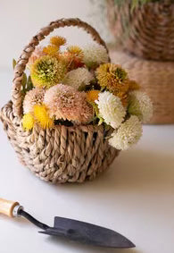 Woven Seagrass Basket w/Handles