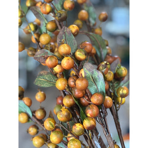 Rosehip Stem | Orange w/Green