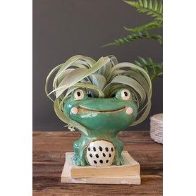 Quirky Frog Planter