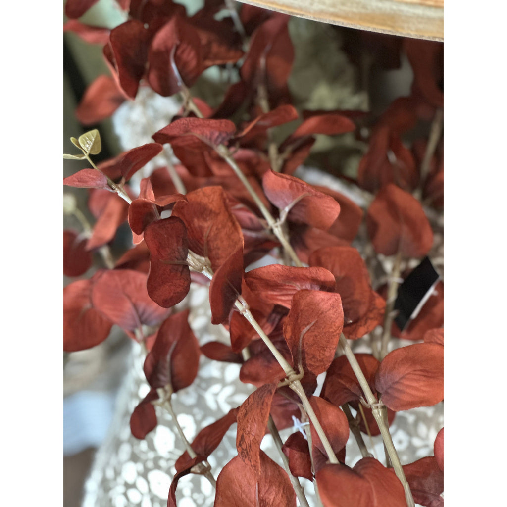 Eucalyptus Spray | Brown Orange