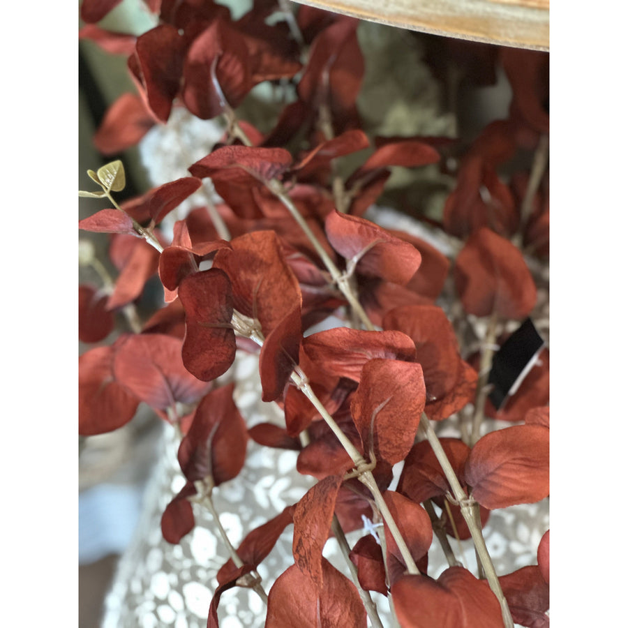 Eucalyptus Spray | Brown Orange