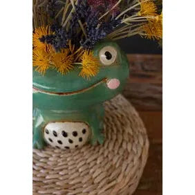 Quirky Frog Planter