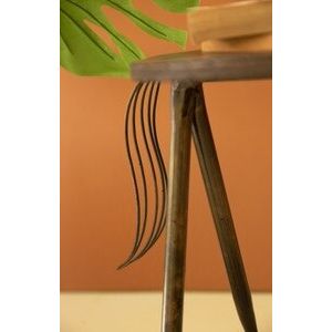 S/2 Iron Horse Accent Tables
