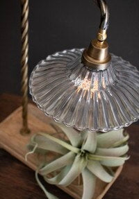 Fluted Glass Task Lamp