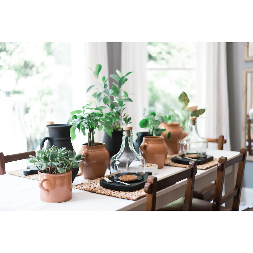 Demijohn Cloche