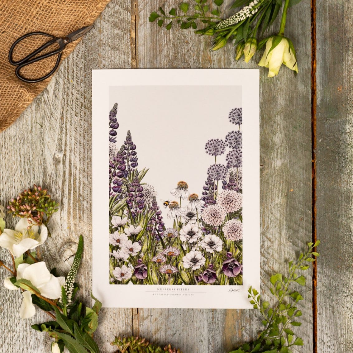 Fine Art Print | Mulberry Fields