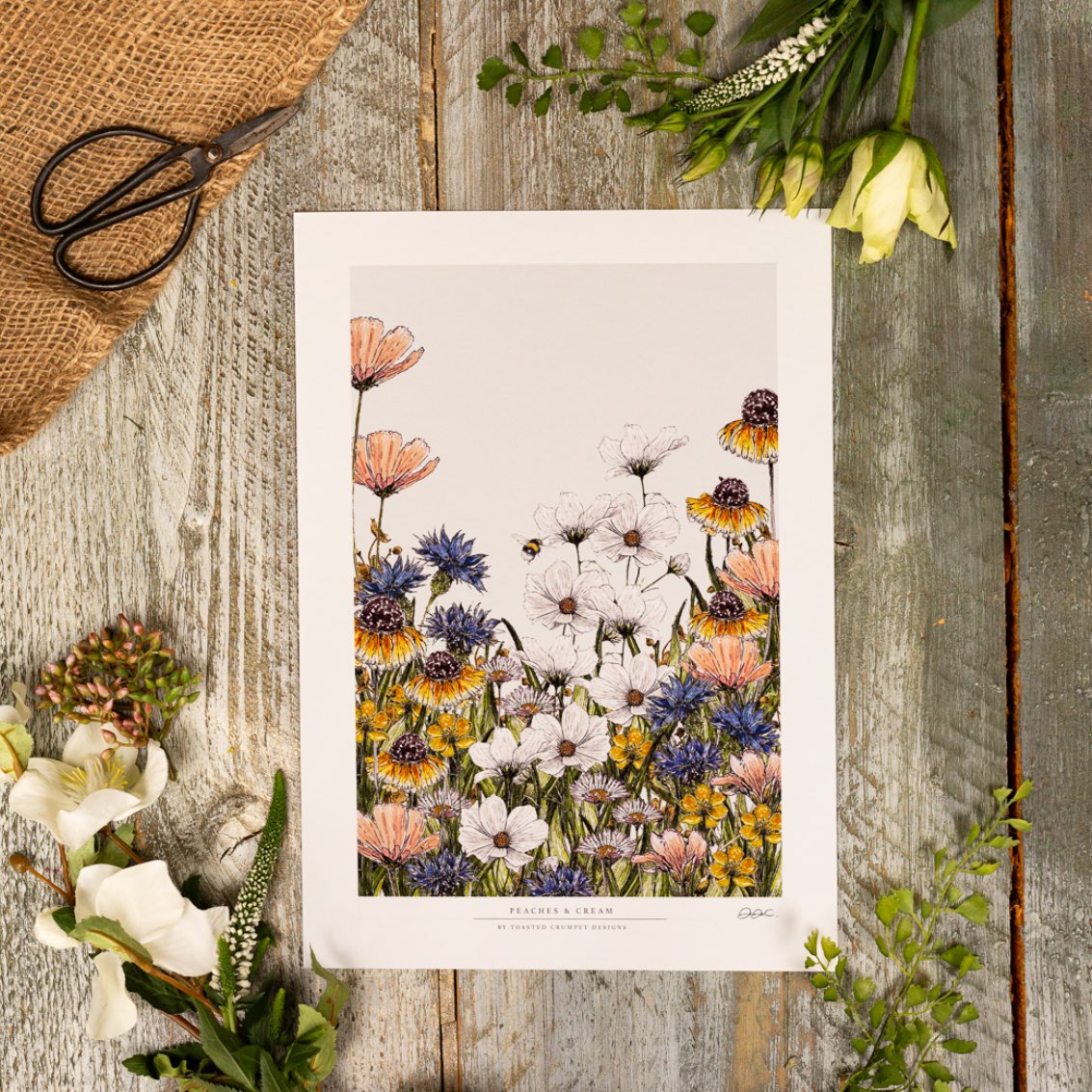Fine Art Print | Peaches & Cream