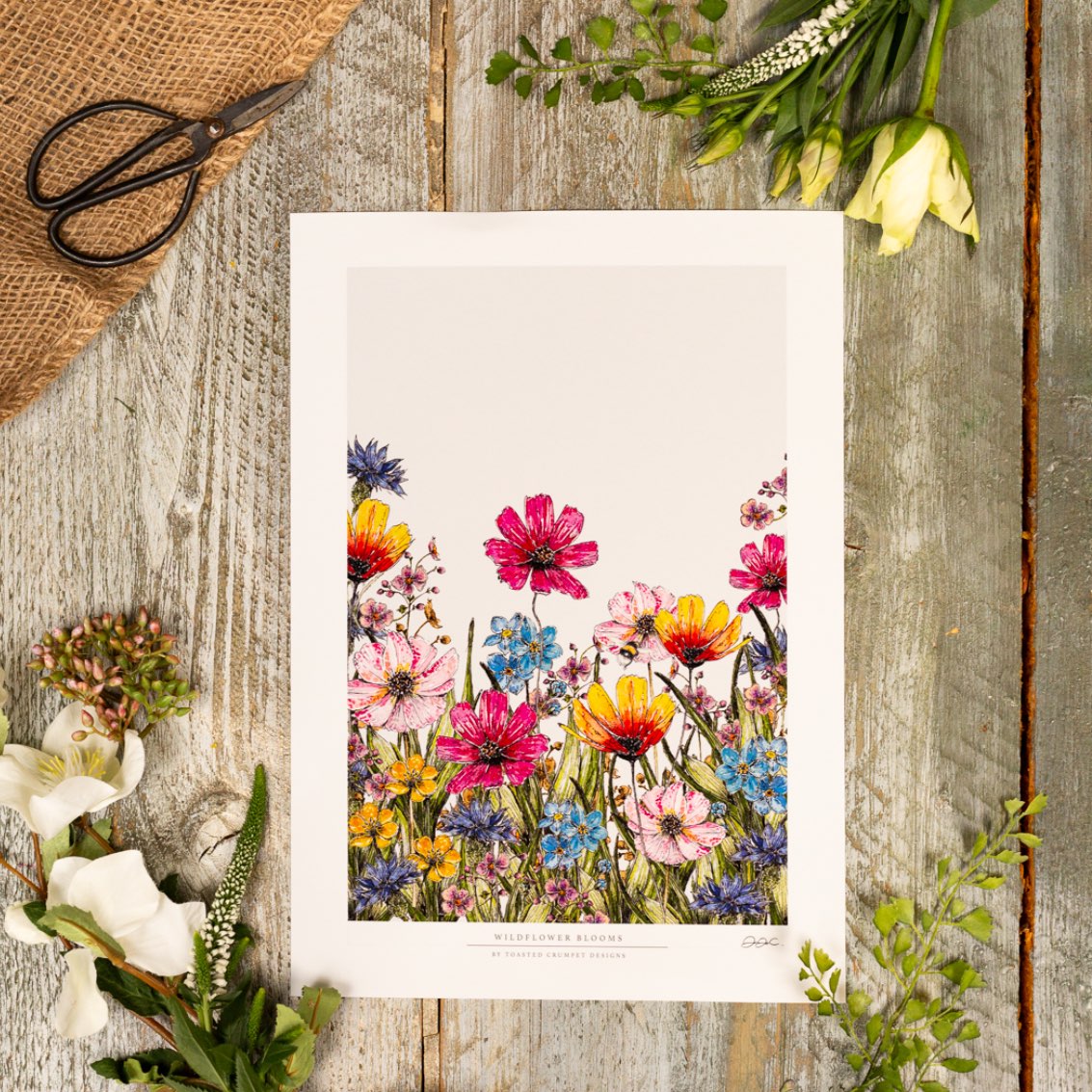 Fine Art Print | Wildflower Blooms