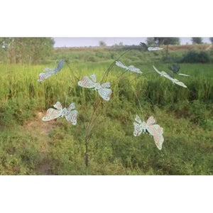 Butterflies in Flight