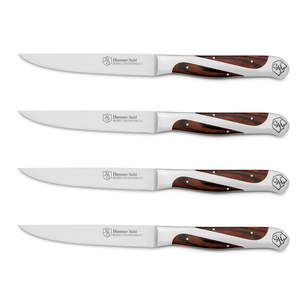 4-Piece Steak Knife Set