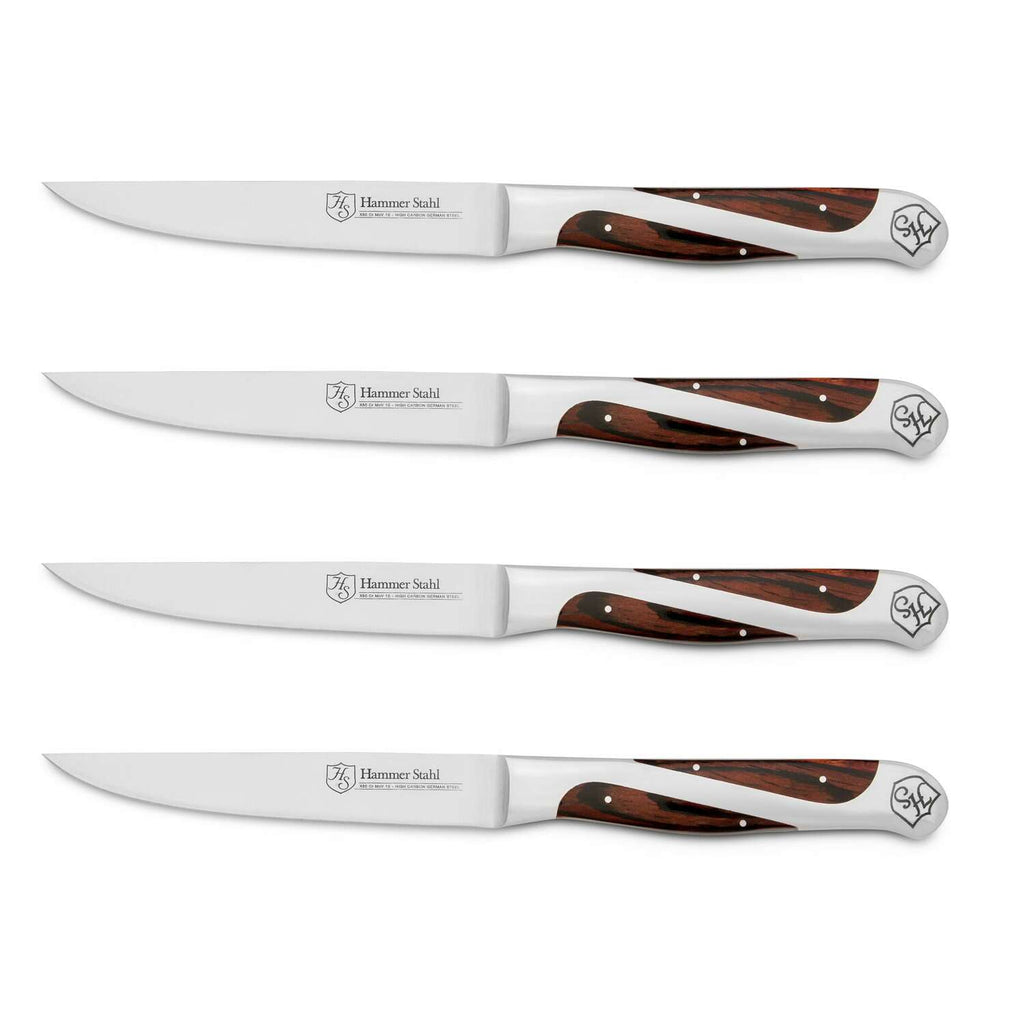4-Piece Steak Knife Set