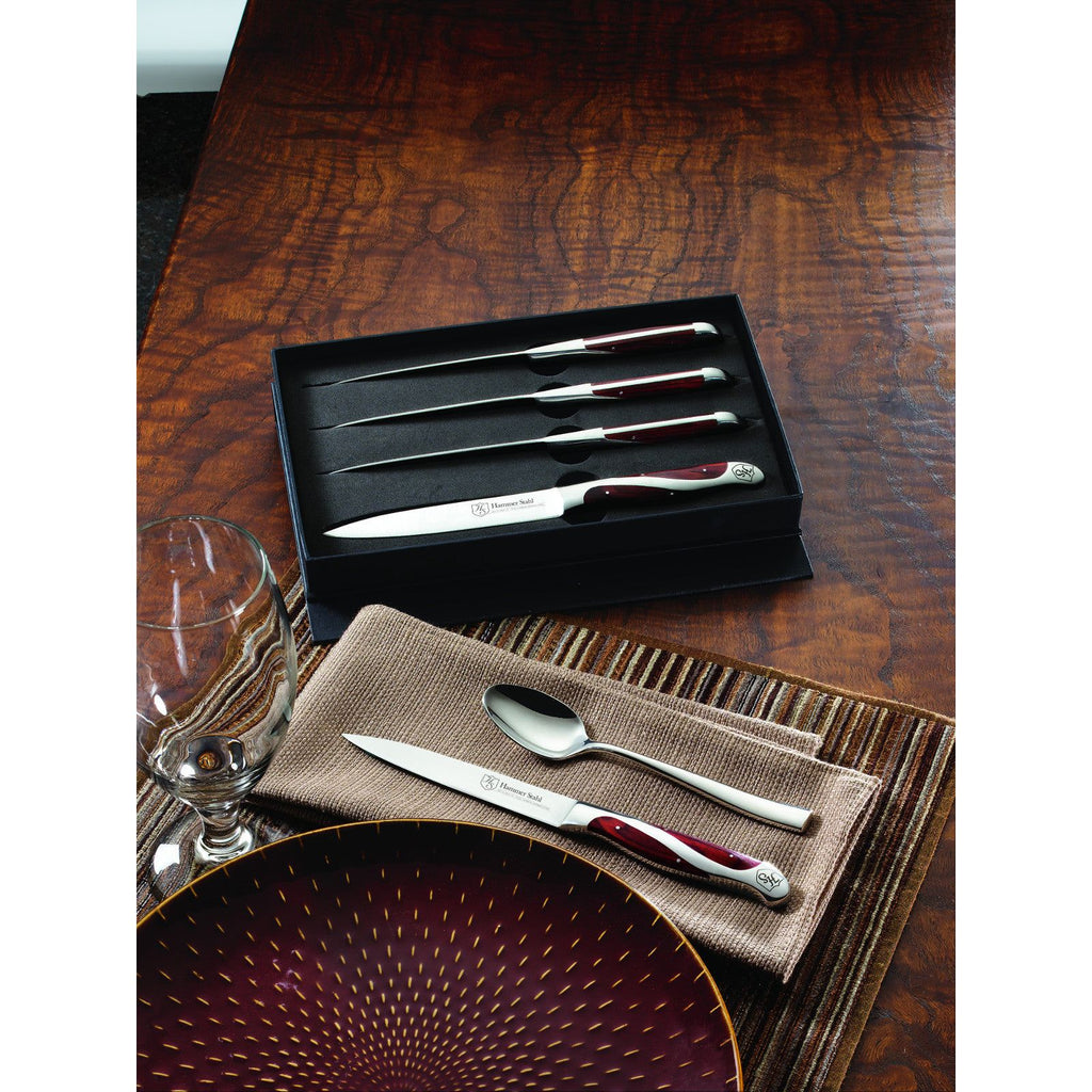 4-Piece Steak Knife Set