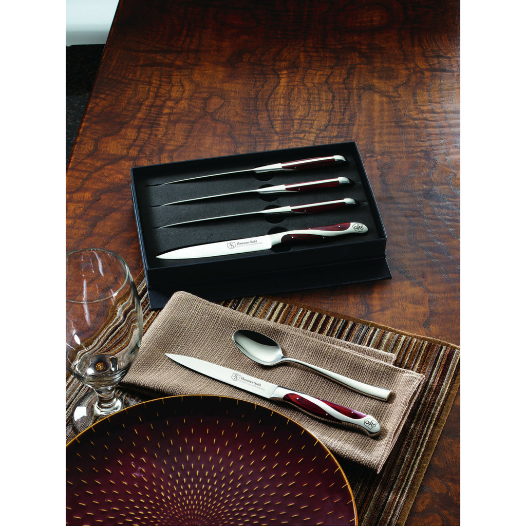 4-Piece Steak Knife Set