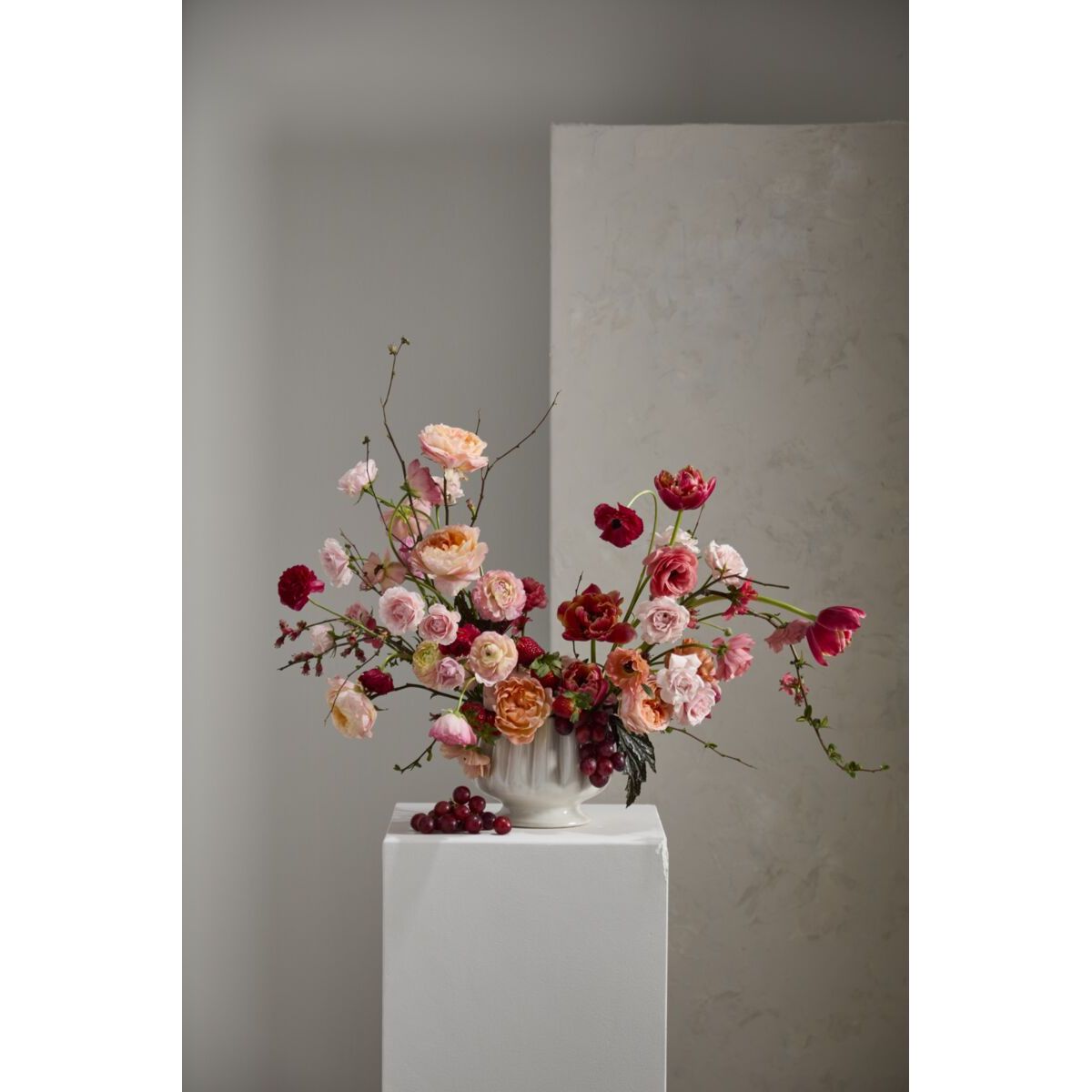 Tulipa Collection