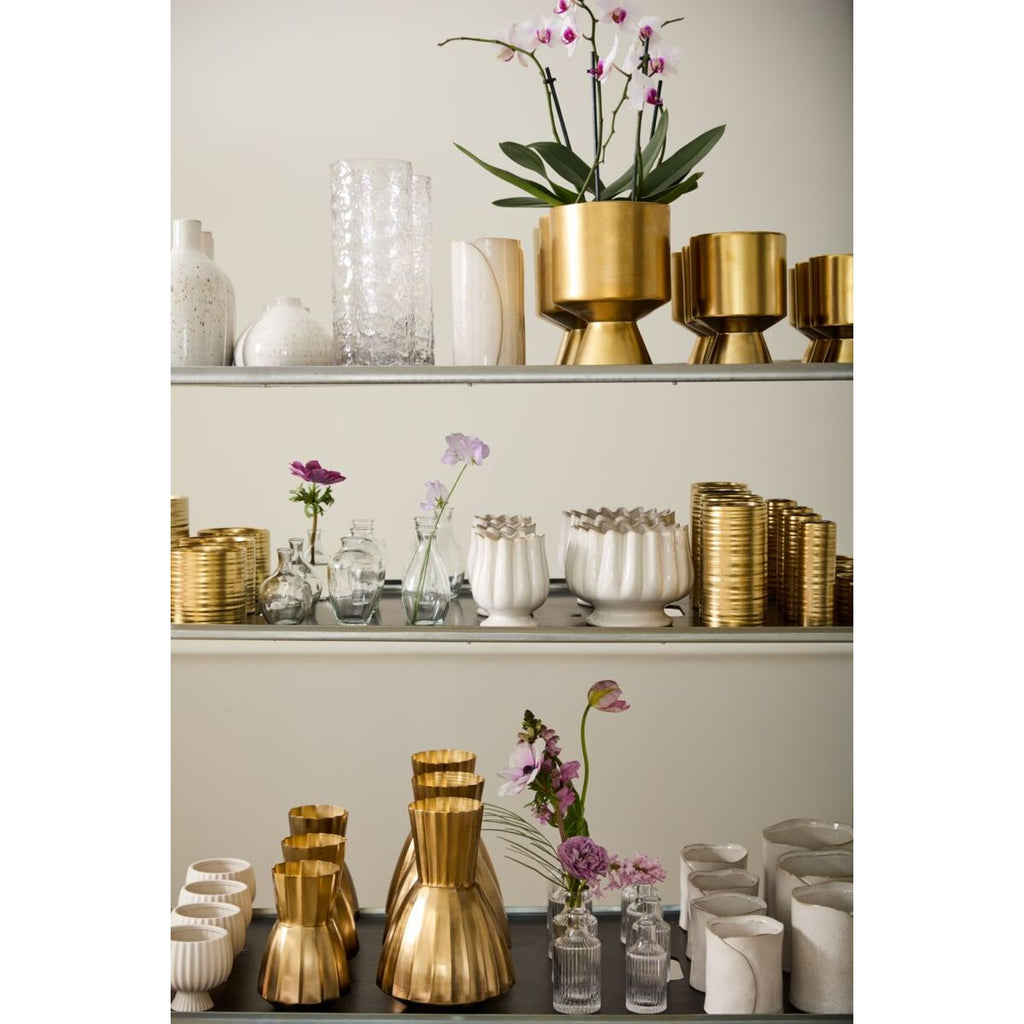 Tulipa Collection