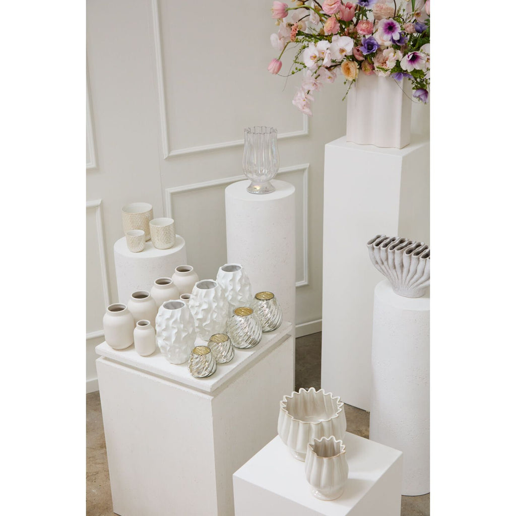 Tulipa Collection