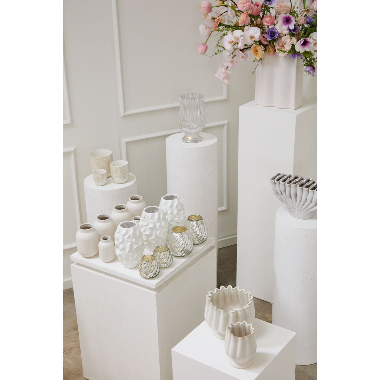 Tulipa Collection