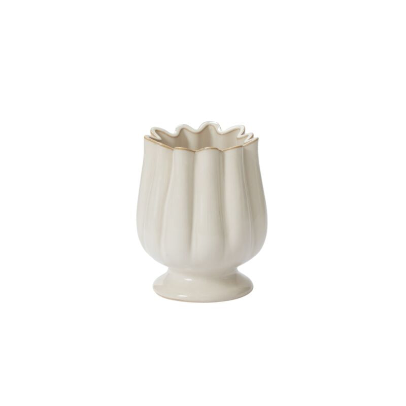 Tulipa Collection