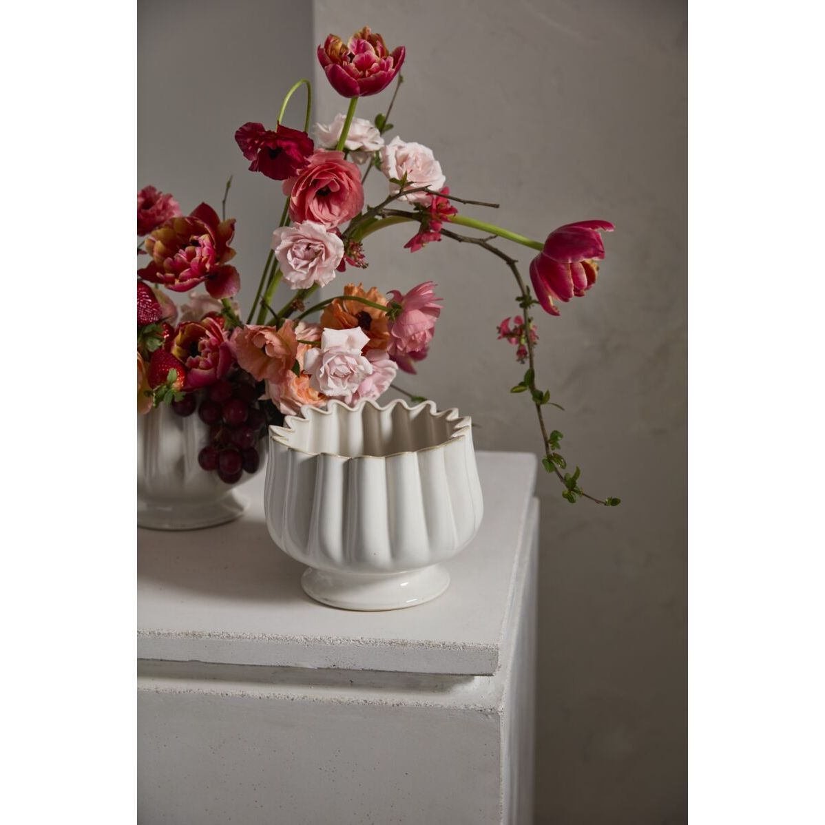 Tulipa Collection