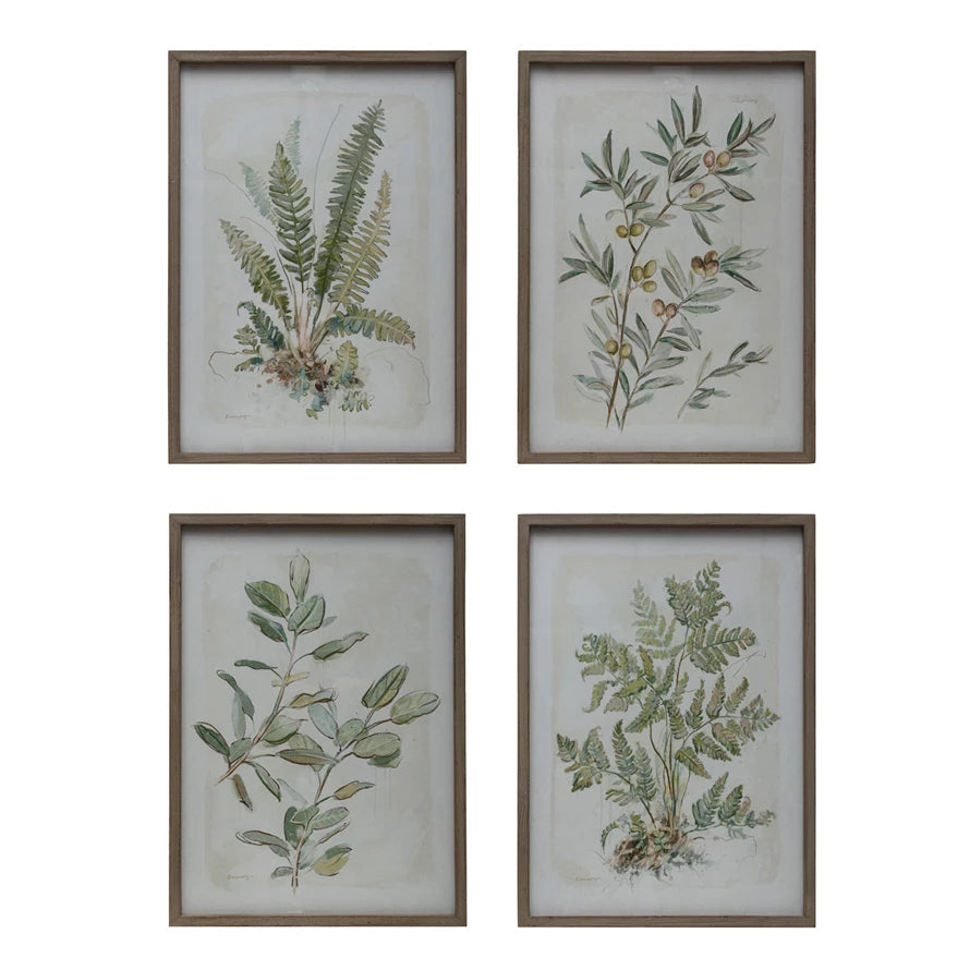 Wood Framed Glass Botanical Art