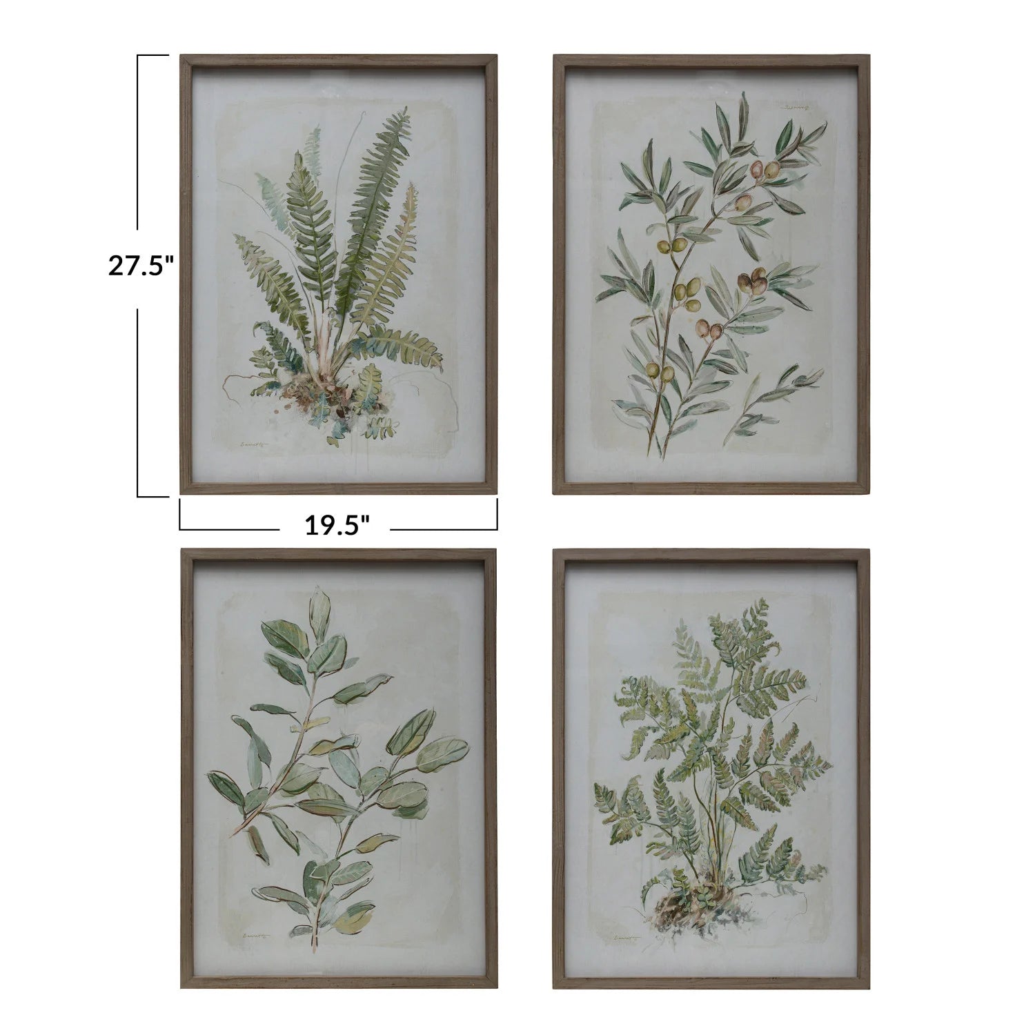 Wood Framed Glass Botanical Art