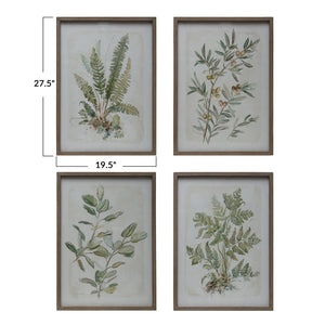 Wood Framed Glass Botanical Art
