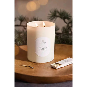 Linnea Candles 2 Wick Candles | Seasonal (Fall/Winter )