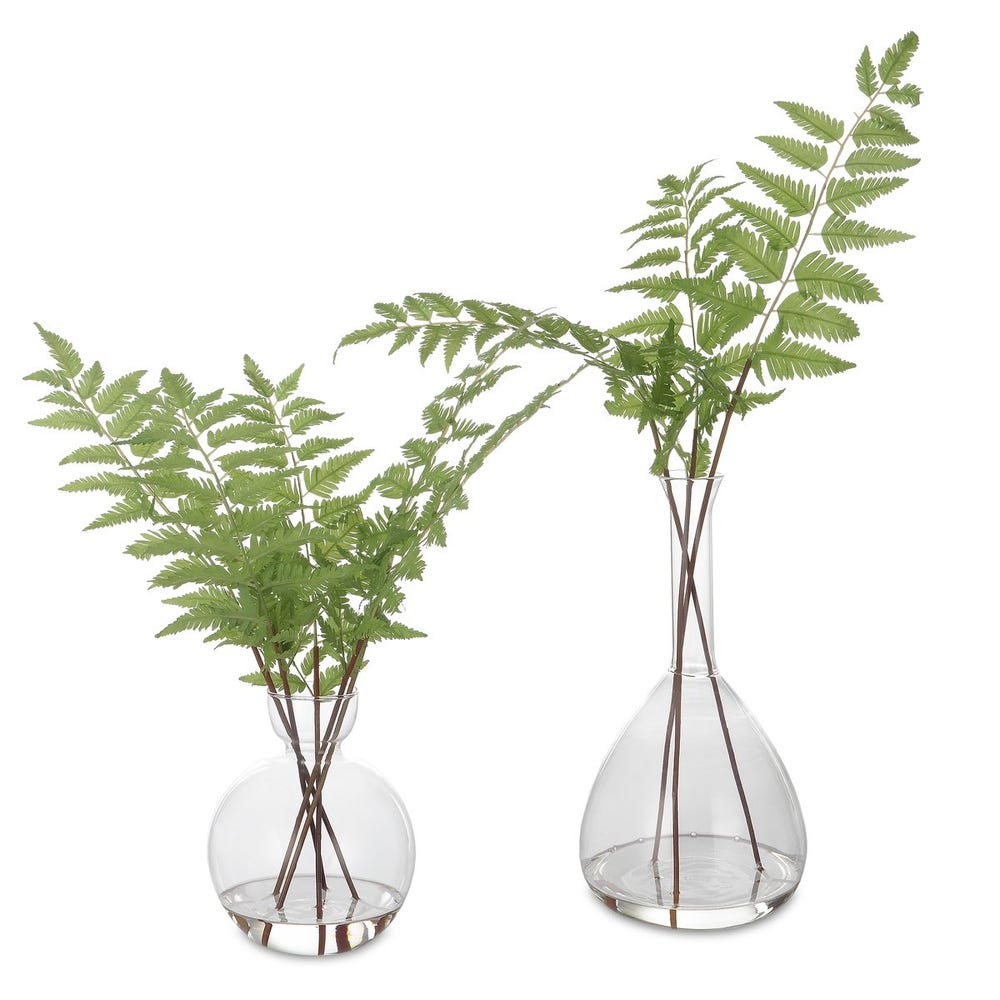 Country Fern