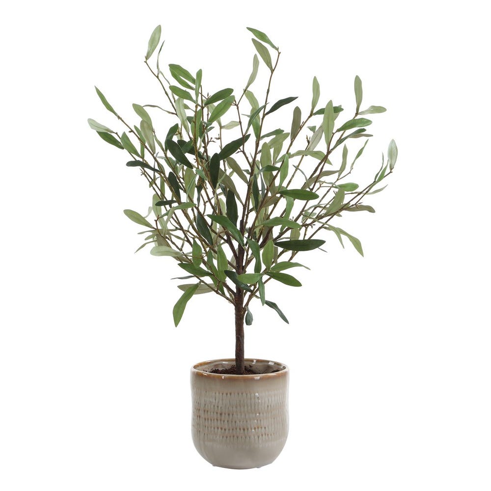 Solea Olive Accent
