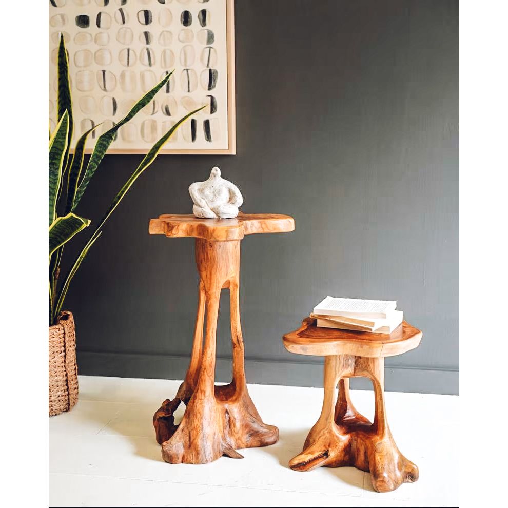 Organic Teakwood Accent Table