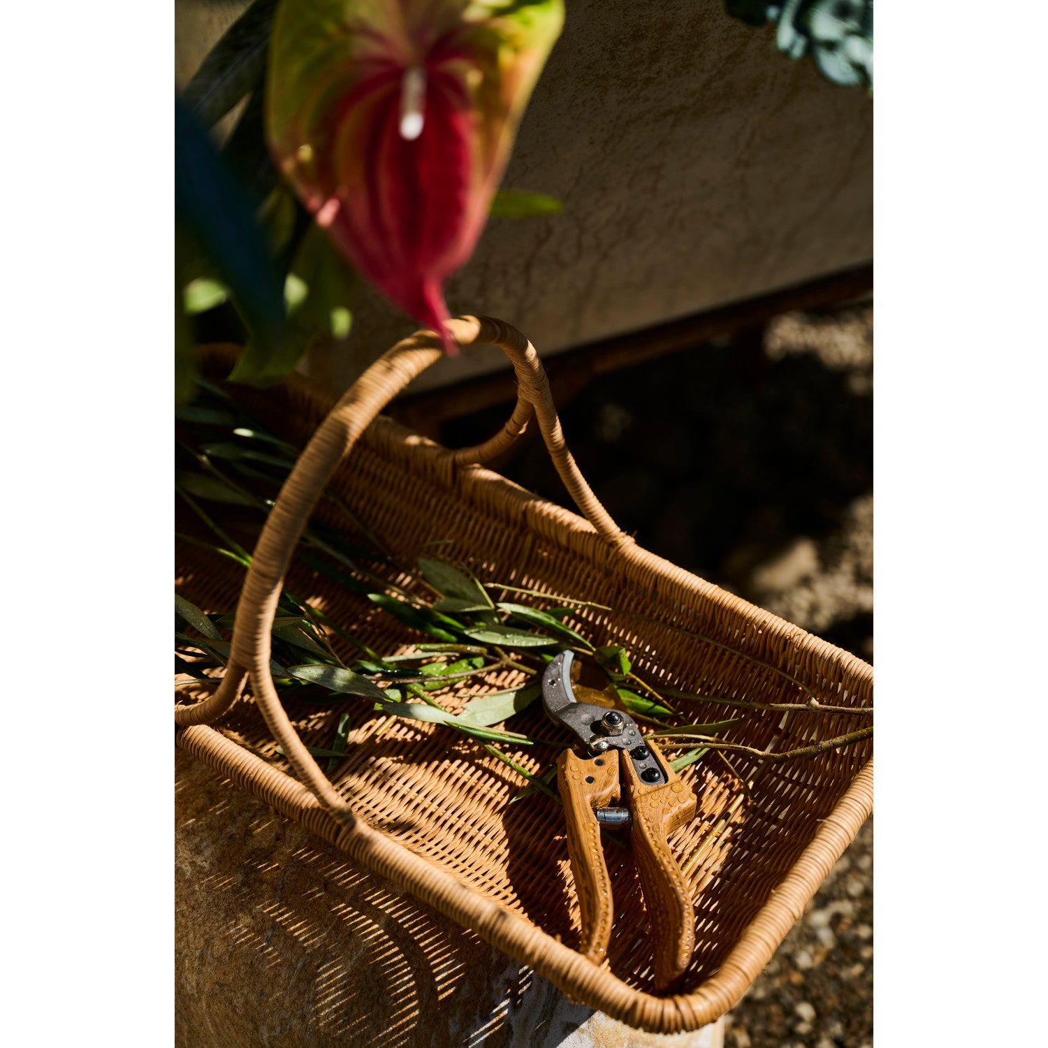 Gardening Pruning Shears