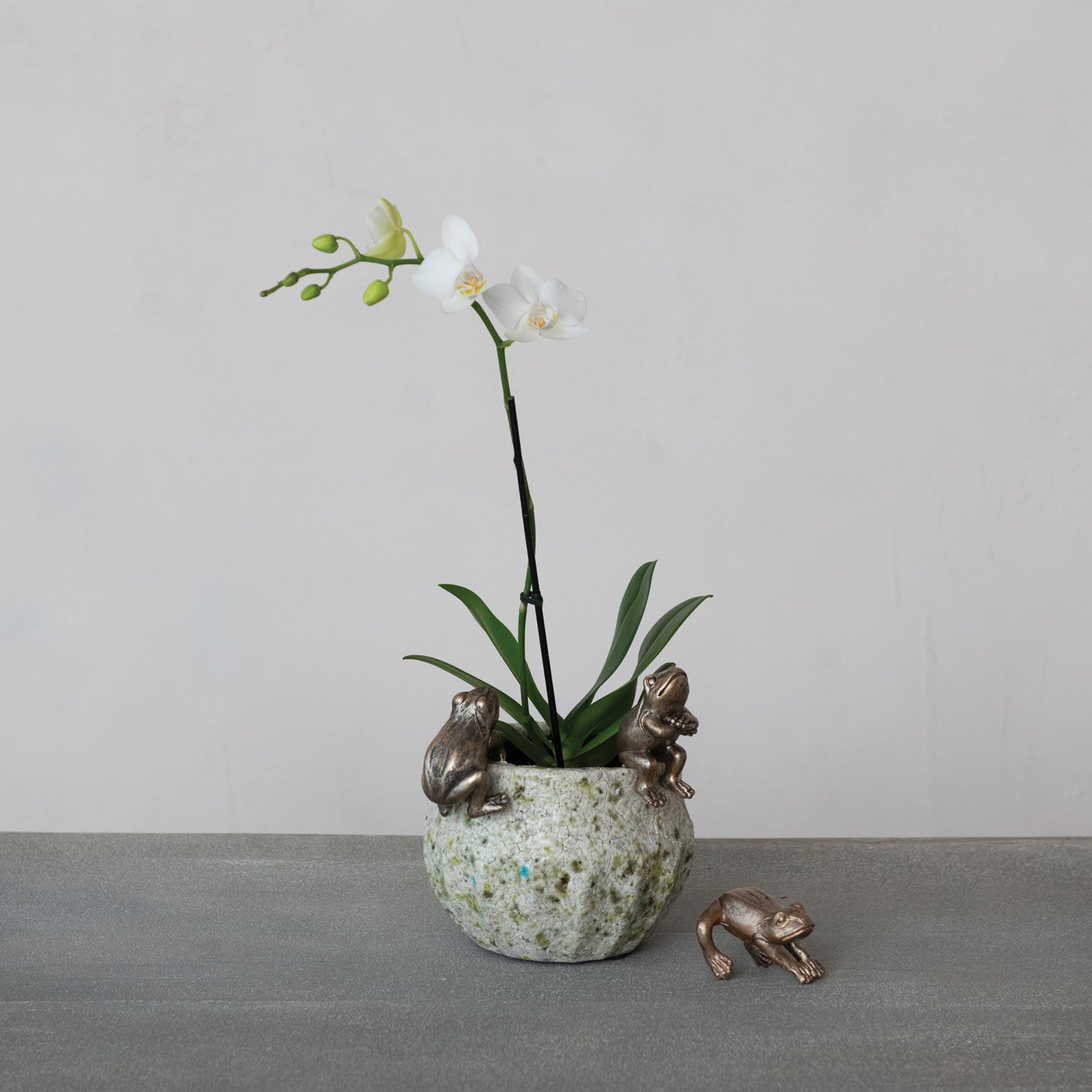 Resin Frog Pot Hanger