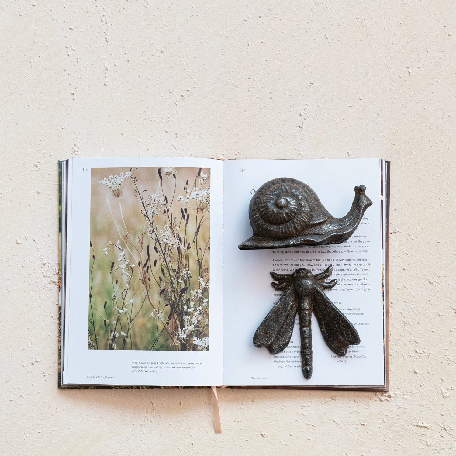 Cast Iron Snail