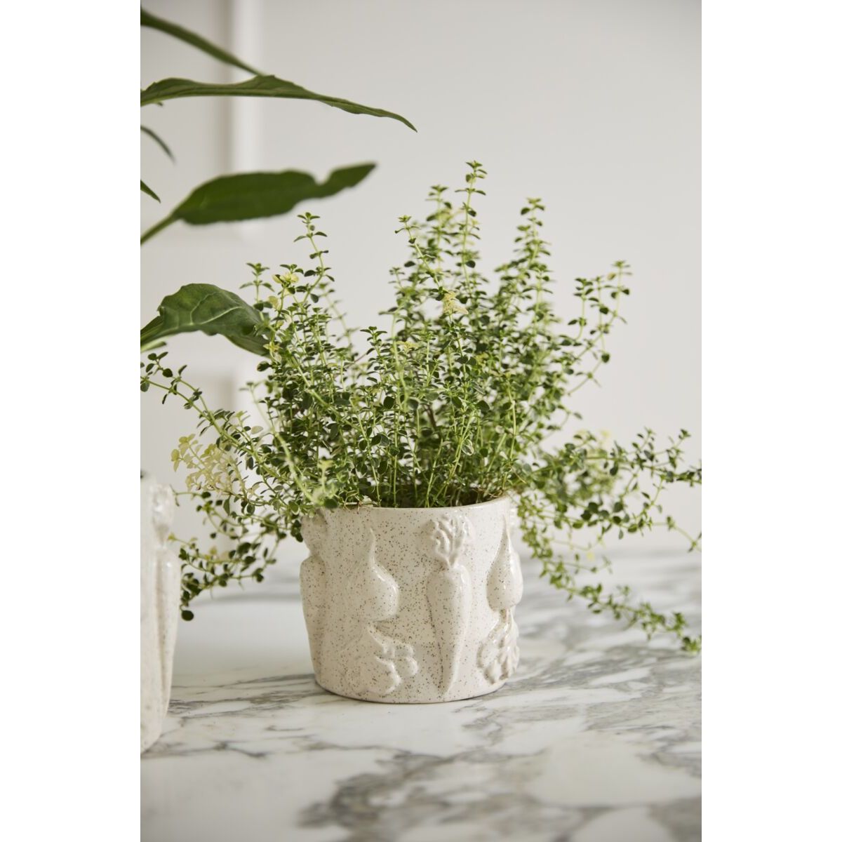 Veggie Pot