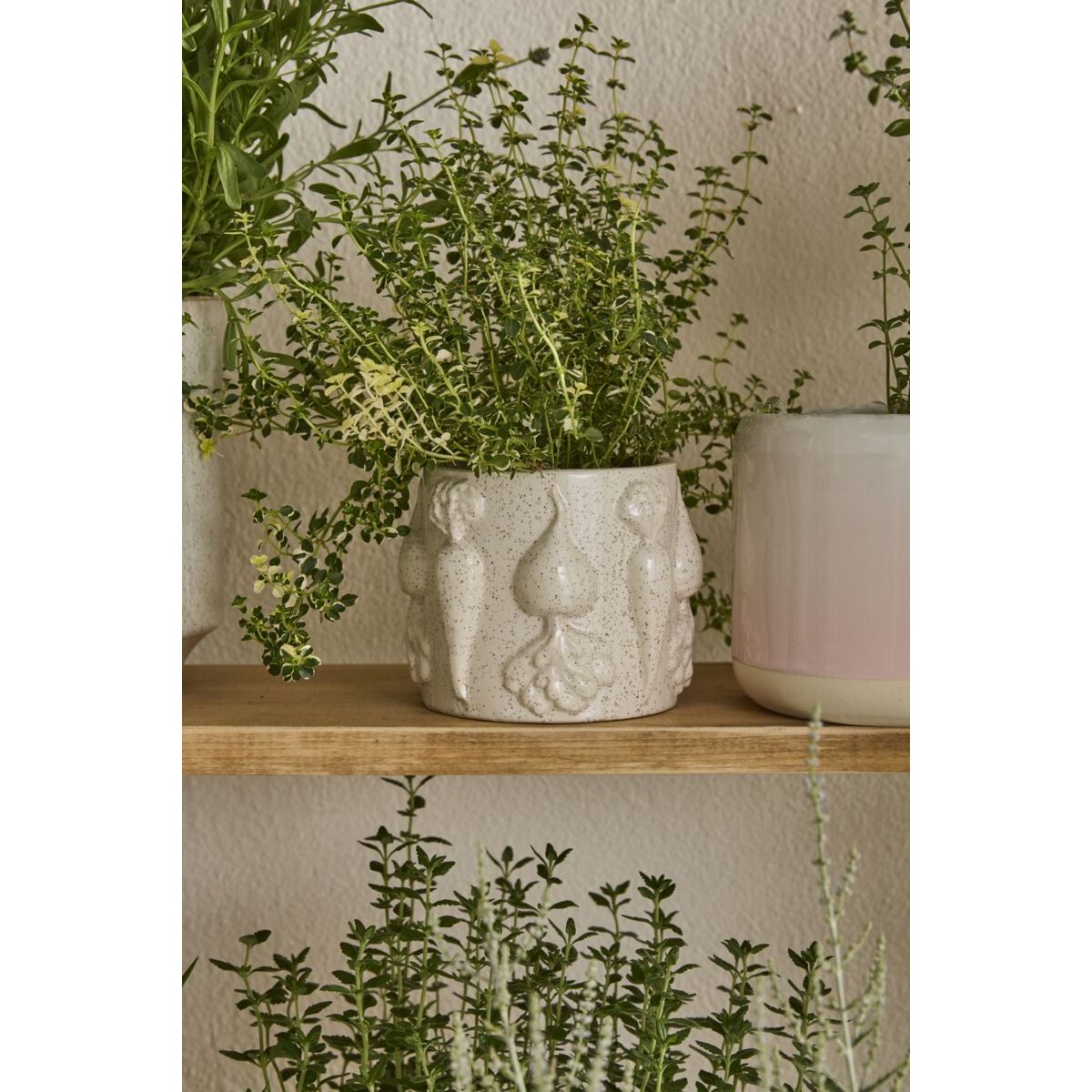 Veggie Pot