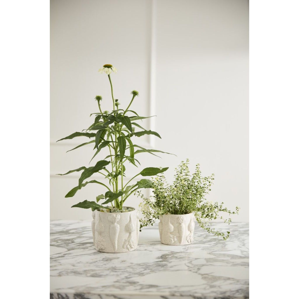 Veggie Pot