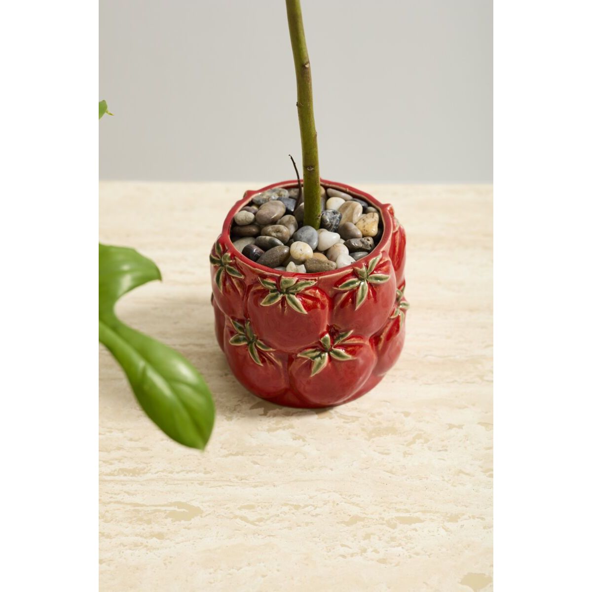 Cucina Pot