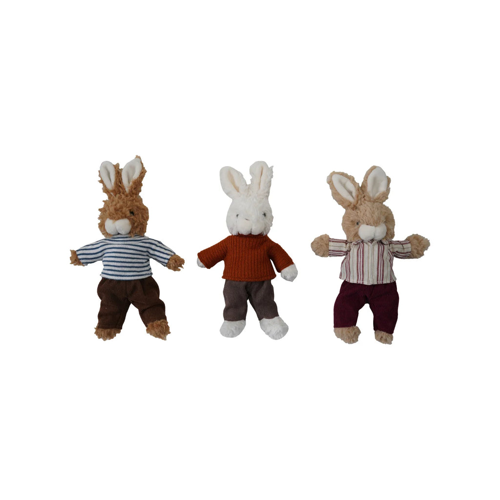 Plush Bunny w/Outfit