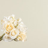 Mini Rose Bundle