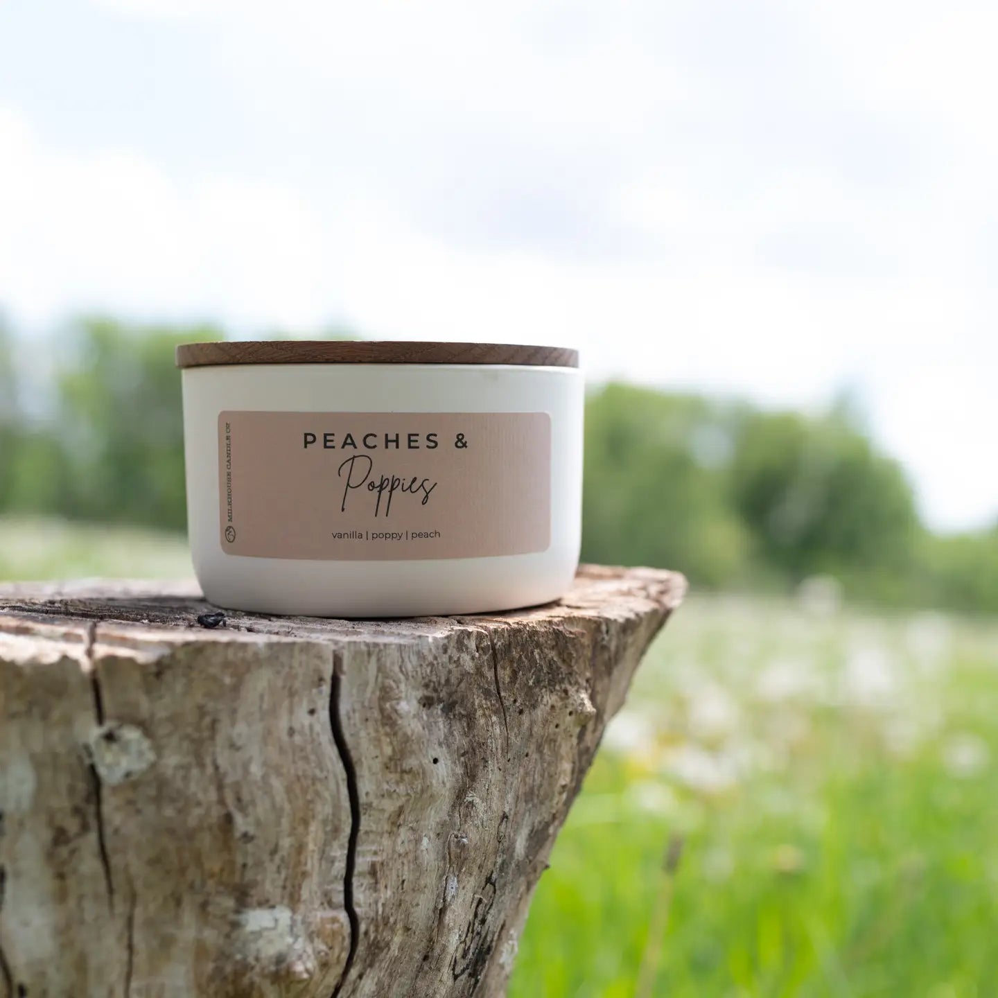 Signature Statement Candle | 10 oz