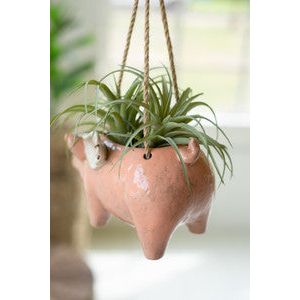 Ceramic Hanging Flying Pig Planter