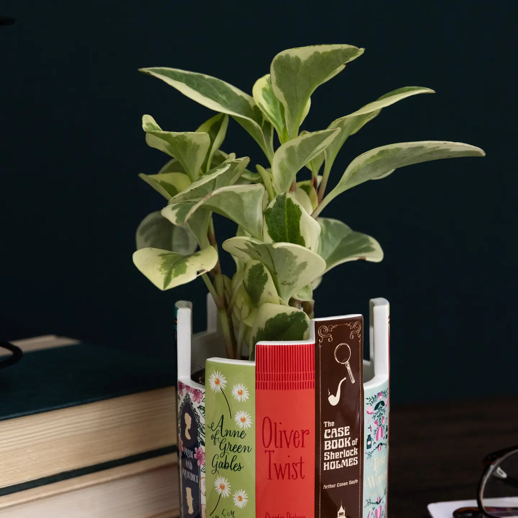 Classic Literature Ceramic Planter & Desk Pot