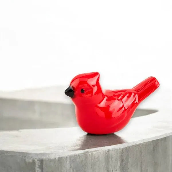 Pocket Cardinal