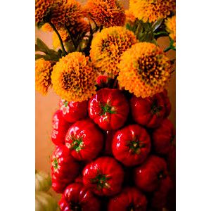 Produce Vase | Tomato