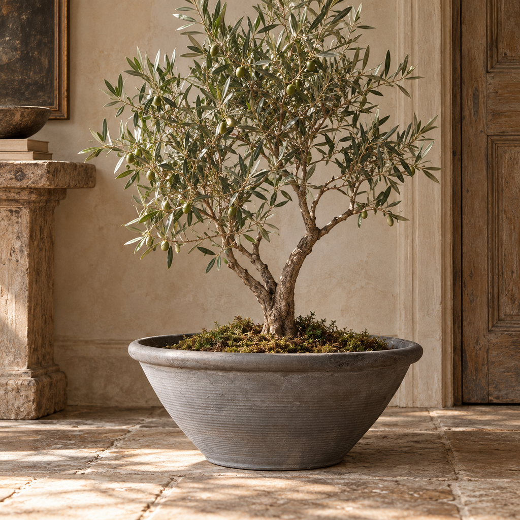 Lily Pond Handcrafted Clay Bowl Planter