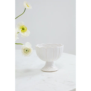 Meryl Compote