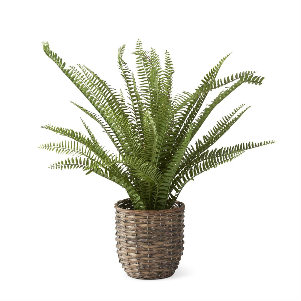 Faux Boston Fern w/Woven Rattan Basket